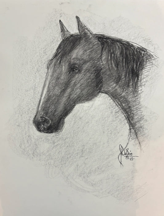 Horse  #1 original charcoal