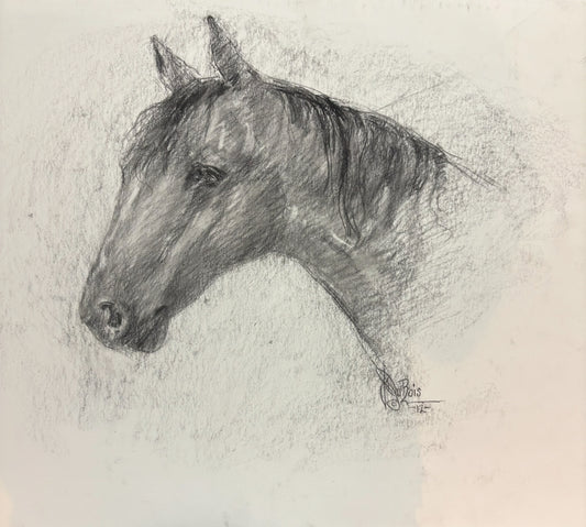 Horse # 2