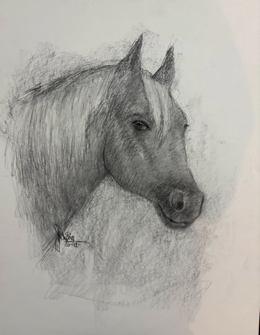 Horse # 4