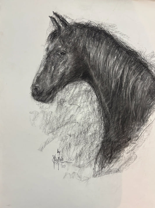Horse # 5