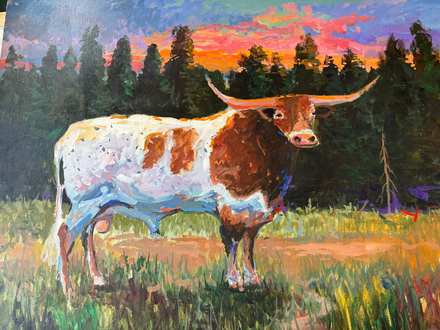 Texas Longhorn
